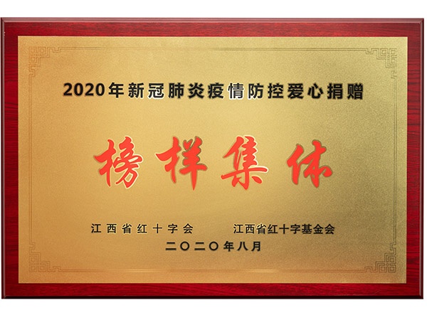 紅十字會榜樣集體